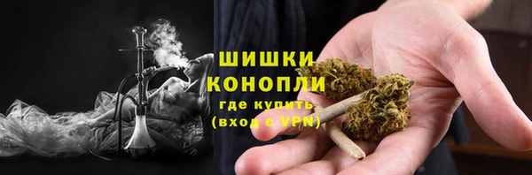 сатива Абаза
