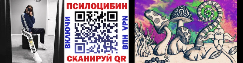 хочу наркоту  Лосино-Петровский  Псилоцибиновые грибы Cubensis 